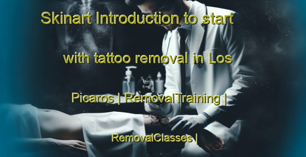 Skinart Introduction to start with tattoo removal in Los Picaros | RemovalTraining | RemovalClasses | SkinartTraining-Mexico